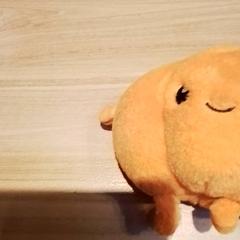 Peluche Pompoen, a été signalé par Beekse Bergen Resorts en Hotel utilisant iLost