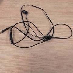 Auricular Zwart, segons ha informat Qbuzz Fryslân mitjançant iLost