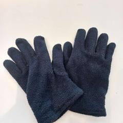 Gloves, as reported by Arriva Limburg Zuid using iLost