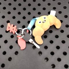 Bicycle key sleutel, as reported by Arriva Infoshop Enschede using iLost