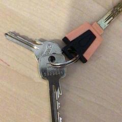 Nøkler Roze, som rapportert av Gemeente Renkum ved bruk av iLost