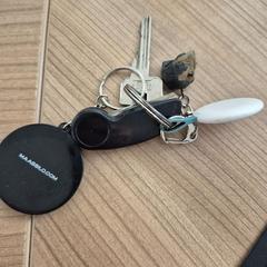 Keys diverse sleutels, as reported by Connexxion Noord Holland Noord Alkmaar using iLost