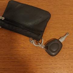 Autosleutel, como reportado ao iLost