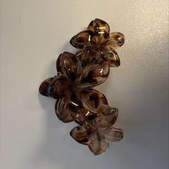 Hårklipp Luipaard, som rapportert av AFAS Live ved bruk av iLost