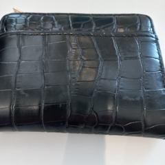 Carteira, como reportado por Arriva Limburg Zuid utilizando o iLost