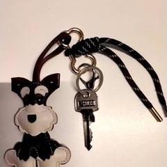 Chiave, come riportato da Gemeente Puurs-Sint-Amands utilizzando iLost