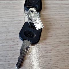 Nøkler Staat nummer op plaatje, som rapportert av Gemeente Renkum ved bruk av iLost