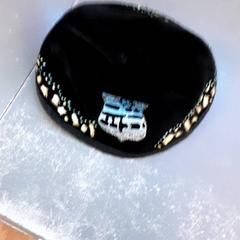 Keppel، كما تم الإبلاغ عنه بواسطة Diergaarde Blijdorp عبر iLost