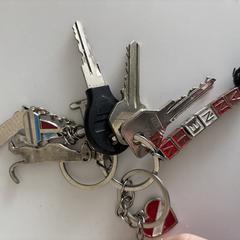 Sleutelbos がiLostに報告されました