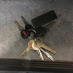 sleutelbos, som rapportert til iLost