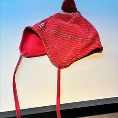 Bonnet, a été signalé par Madurodam utilisant iLost