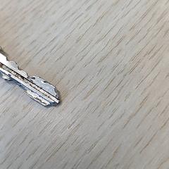 Klíč na kolo, jak nahlášeno Gemeente Nijkerk pomocí iLost