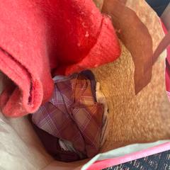 Tasje met kleding rood, gemeldet von Haven Hotel Rotterdam über iLost