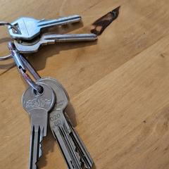 Sleutelbos, som rapporterats till iLost