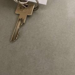 Schlüssel, gemeldet von Regio Antwerpen - Brussel über iLost