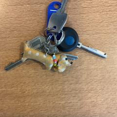 Sleutels, zoals gemeld door Gemeente Amsterdam met iLost