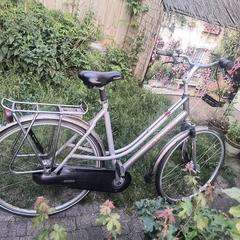 Giant grijze damesfiets, as reported to iLost