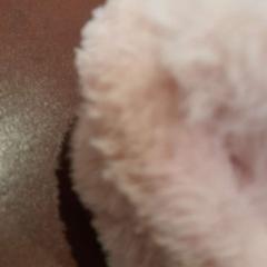 Ear muffs rose, as reported by TCL using iLost