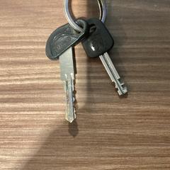 Keys - 151225BIDF, as reported by Ziggo Dome using iLost