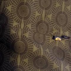 Sjal, rapporterat av TivoliVredenburg med iLost