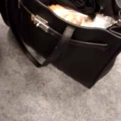 Poltsa, gisa salatu by Qbuzz Fryslân iLost erabiliz