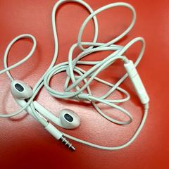 Auricolari, come riportato da UvA REC utilizzando iLost