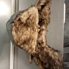 Muts Donkerbruin, zoals gemeld door Breng Nijmegen met iLost