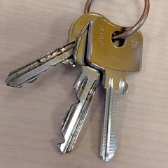 Portachiavi, come riportato da IKEA Strasbourg utilizzando iLost