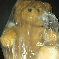 Xoguete de peluche Beer, segundo informou Van der Valk Hotel Assen usando iLost