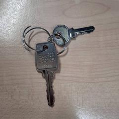 Key, as reported by IKEA Grenoble using iLost