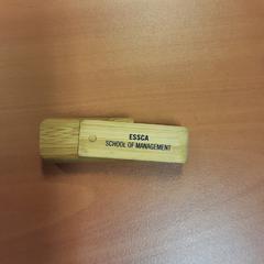 Usb-stick, gisa salatu by Vrije Universiteit Brussel (VUB) iLost erabiliz
