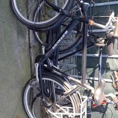 Pánské kolo batavus Zwart, jak nahlášeno Stadswerk072 pomocí iLost