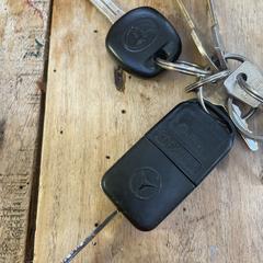 Sleutelbos, jak zgłoszono do iLost