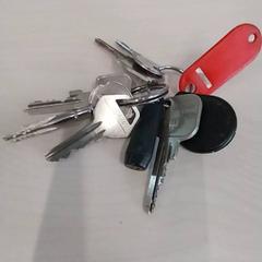 Llavero, ha sido reportado por Arriva Limburg Zuid con iLost