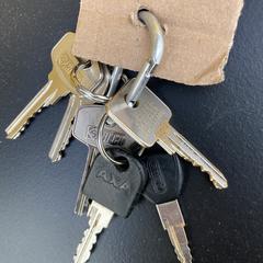 Sleutelbos 6 sleutels, som rapporterats till iLost