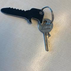 Key, as reported by Gemeente Wijk bij Duurstede using iLost