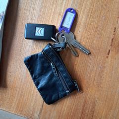 Sleutelbos a été signalé sur iLost