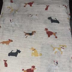 Teppe Kleed hond, som rapportert av Hotel Apeldoorn ved bruk av iLost