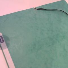 Clutch bag verte, som rapportert av Relais Azalys ved bruk av iLost