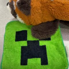 ポーチ がiLostで IKEA Tokyo-Bay によって報告されました