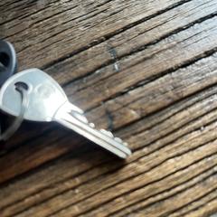 Sleutelbos, ako bolo nahlásené iLost