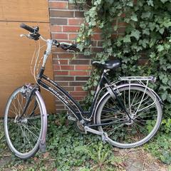 Gazelle fiets, ako bolo nahlásené iLost