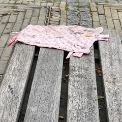 Roze knuffeldoekje, as reported to iLost