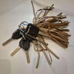 İLost kullanarak Gemeente Beekdaelen tarafından bildirildiği gibi Anahtar