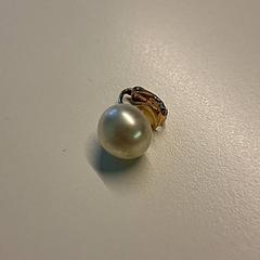 Ohrring, gemeldet von Ziekenhuis Oost-Limburg über iLost