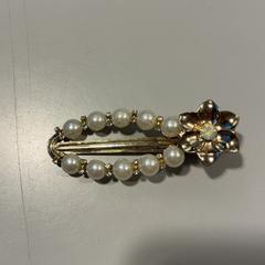 Hair pin, as reported by Arriva Limburg Noord using iLost