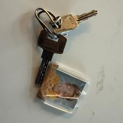 Sleutels met sleutelhanger, som rapportert til iLost