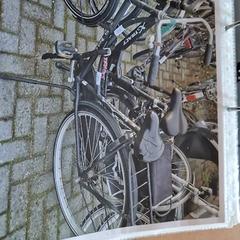 İLost kullanarak Gemeente Roermond tarafından bildirildiği gibi Kadın bisikleti