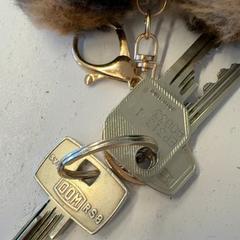 Chiave, come riportato da HTM utilizzando iLost