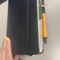 Anteckningsbok Zwart, rapporterat av Burgers' Zoo med iLost